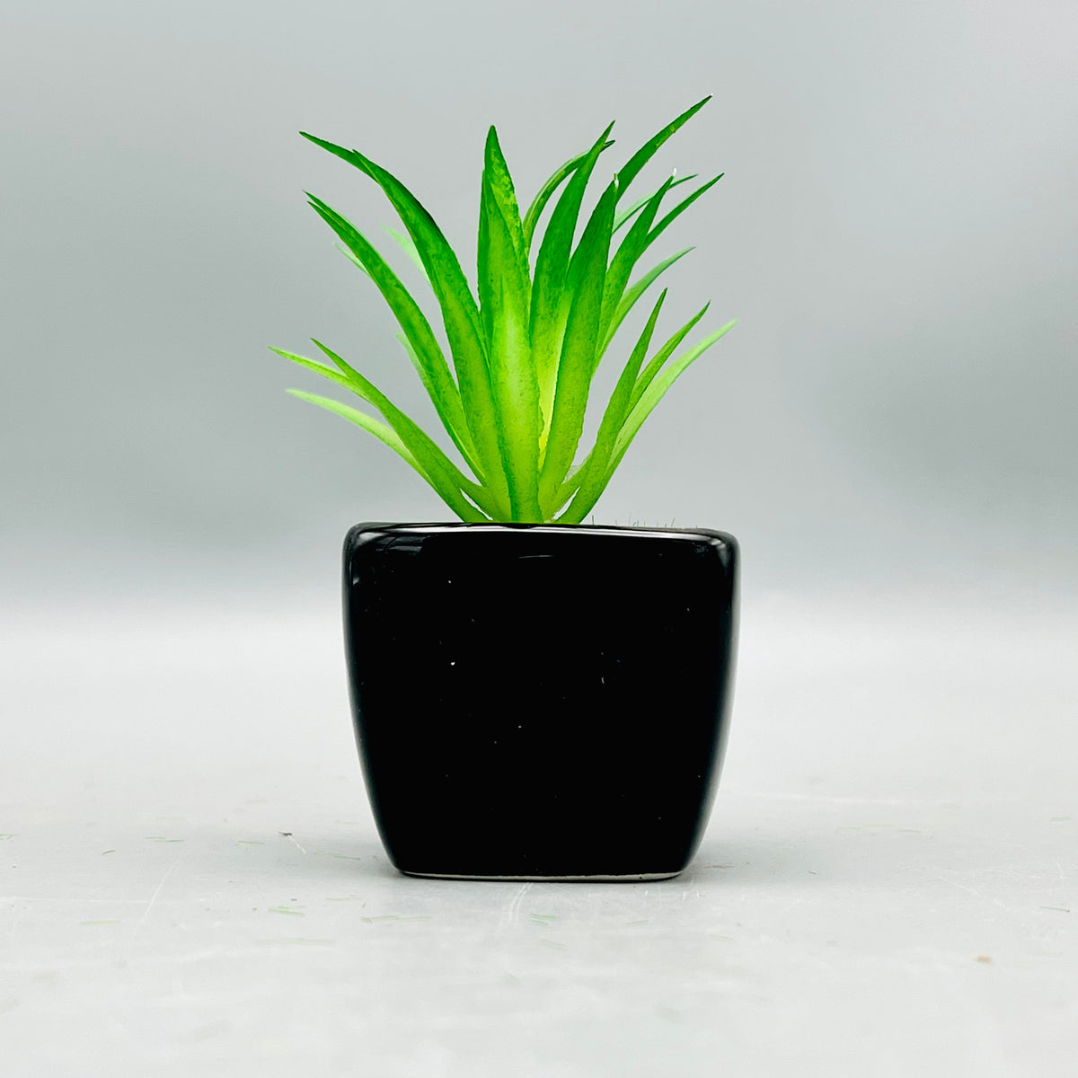 Meadow Plant Pot ( Set of 2)