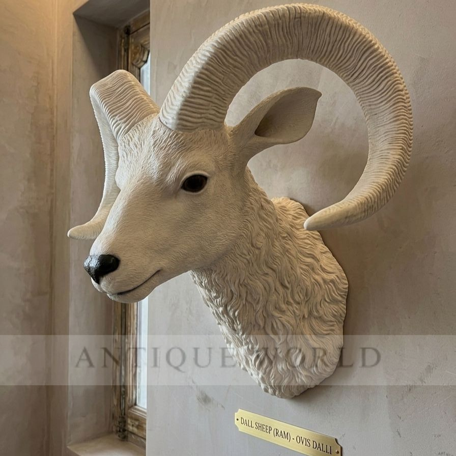 Sheep Shoulder Mount