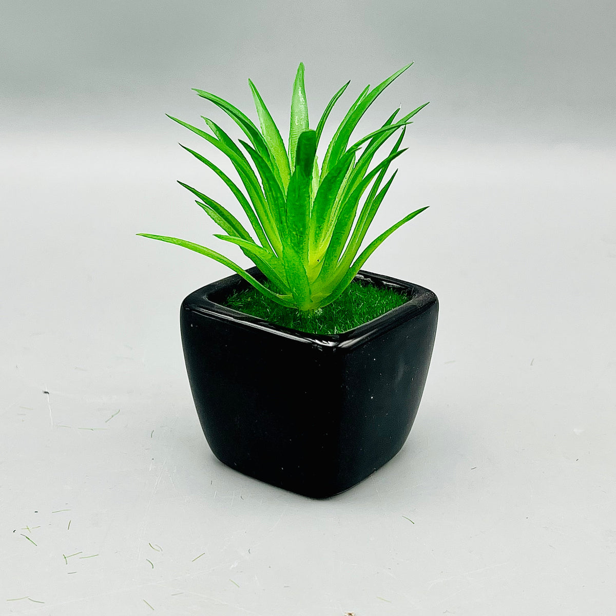 Meadow Plant Pot ( Set of 2)