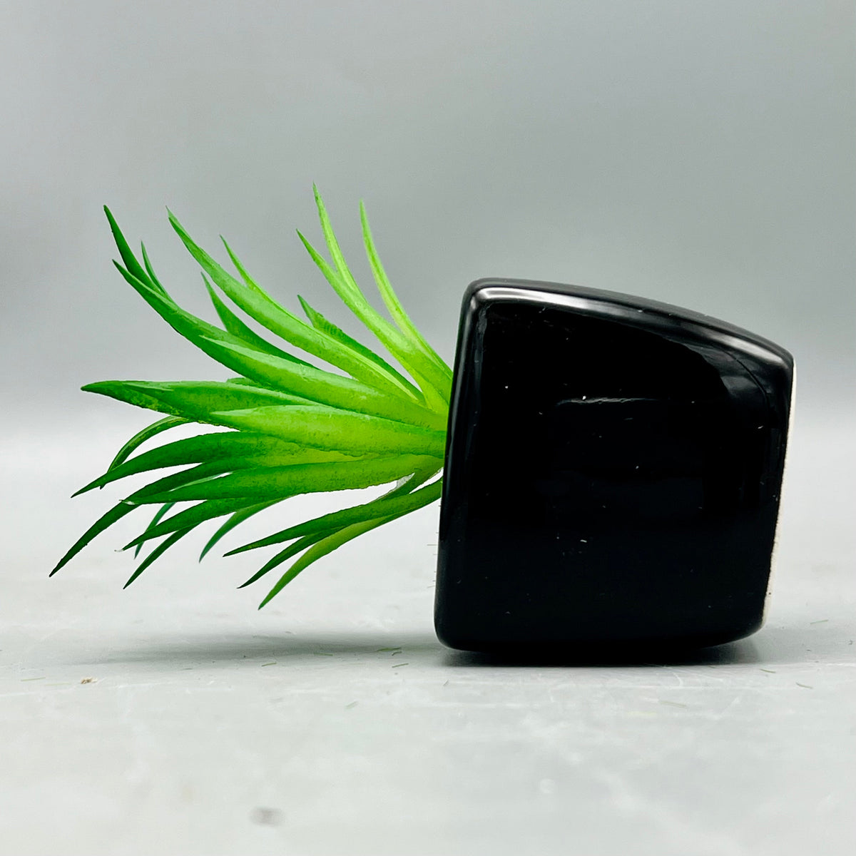 Meadow Plant Pot ( Set of 2)