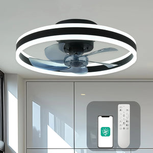 Ceiling Fans