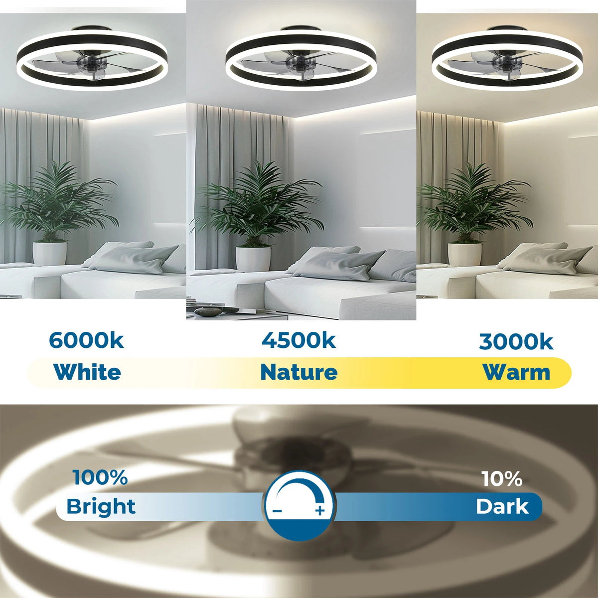 Flush Mount Ceiling Fan with Light